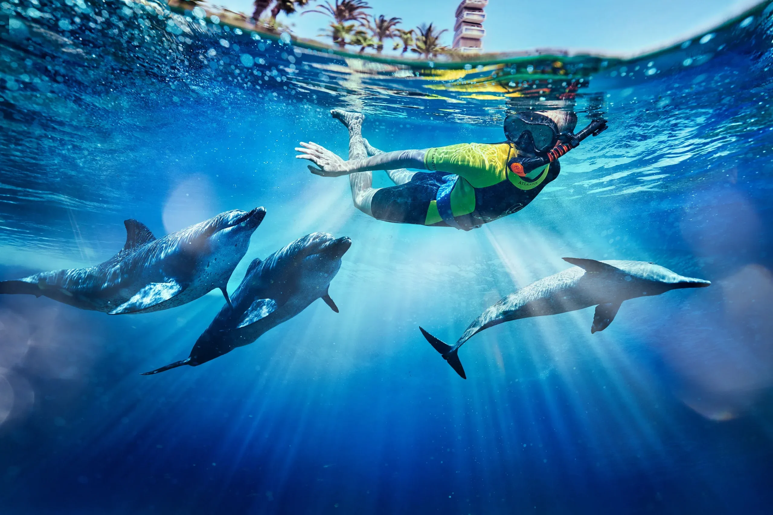 Dolphin Family Experience