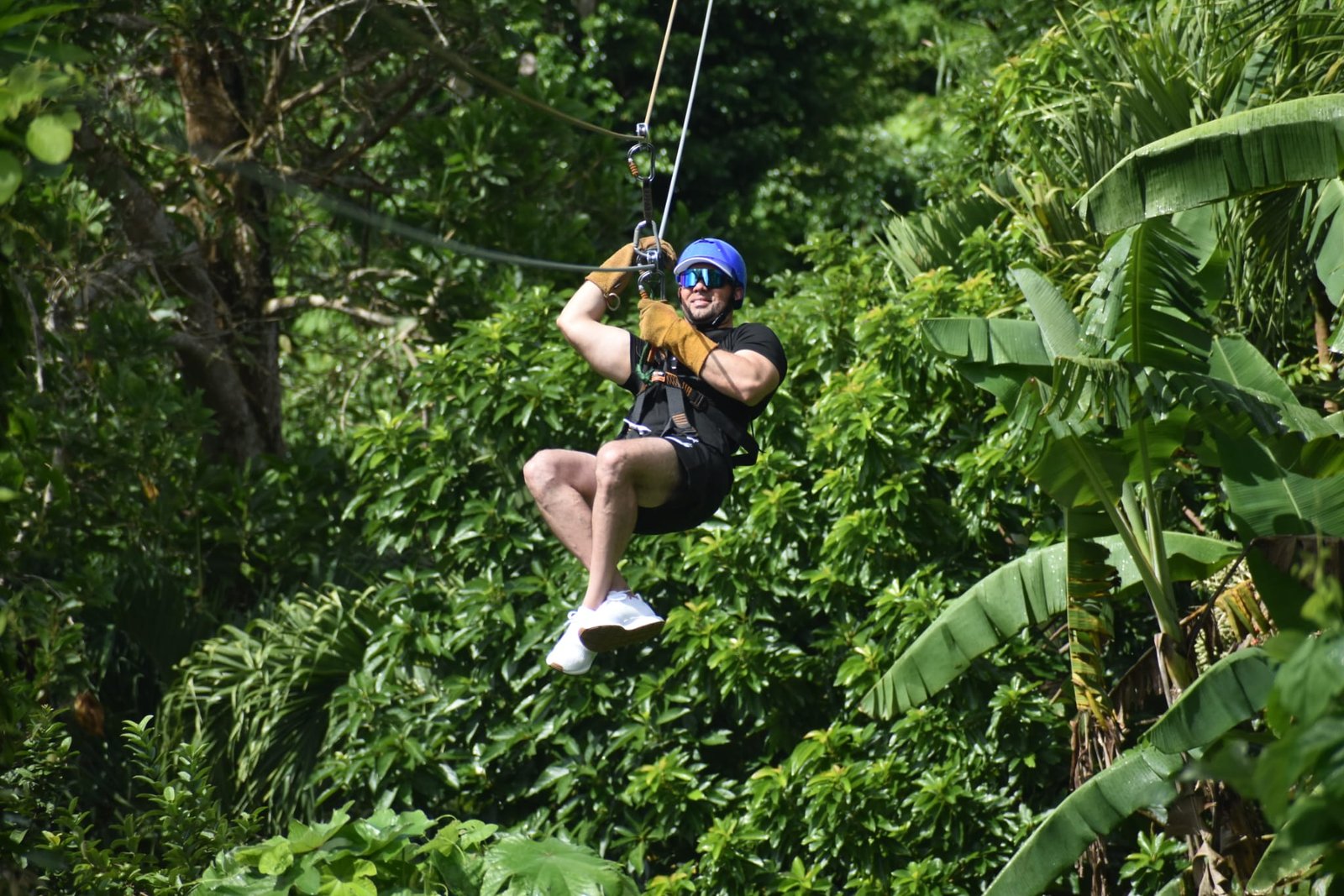 Zipline Adventure